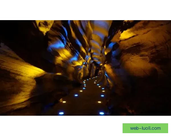 探秘“蝌蚪91桃色”：一个充满想象力的神秘领域